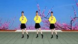 动感情歌广场舞《桃花朵朵为你开》32步零基础背面演示