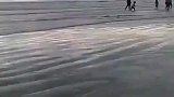 寄居蟹还能这么玩，这么大的壳背的动吗