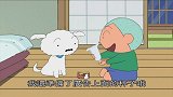 蜡笔小新：高级狗粮也太香了！小白吃到脸红！