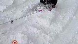 爸爸开车拉着孩子滑雪
