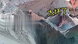 挖掘机救狗！不会就别救