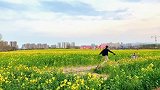 青岛天寒地冻会过去，春风正在来的路上治愈油菜花田错