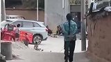 恭喜你拥有了一个完整的童年