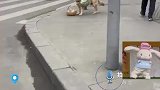 为了口吃的我容易吗