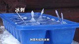 8个难得一见的结冰现象，你知道几个看完长知识了