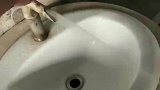 水龙头到底有多叛逆？这我可怎么和别人解释