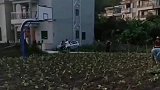 篮球场被无情霸占，这种菜真能长大
