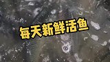 每天都是新鲜活鱼，新鲜大家看的见，干净卫生