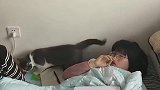 或许，这就是养猫的快乐吧！哈哈猫放屁啦！