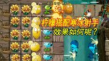 复兴时代42：海盗港湾第9天，柠檬搭配寒冰射手，效果如何呢？