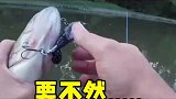 取鱼需要专业的手法