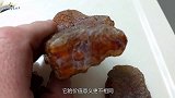 男子山上捡到“红石头”，专家鉴定后脸色大变：在哪捡到的？