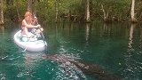 美国：女子划船遇巨鳄淡定推开 鳄鱼：你礼貌吗？