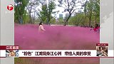 江苏南京：“粉色”江滩现身江心洲 带给人美的享受