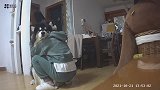 可以把家里的崽崽抱起来取暖了