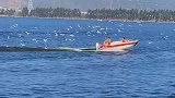 剪映滇池湖畔，海埂大坝最美风景线！