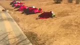 在公园看到大妈们席地而睡，我想她们一定是太累了