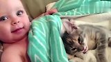 狸花猫：你陪我老去我却不能陪你长大。