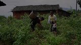 为什么你做泡菜总是生花？川菜厨师分享正宗“四川泡菜”认真看完