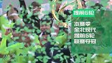 2019亚冠数说全北现代:6冠王两夺亚冠 崔康熙出走成X因素