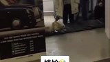 多少有点瘆人