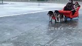 小姐姐你是练过缩骨功吗，还真以为是侏儒呢