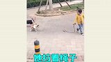 上街遛狗的奇葩方式，碰到你们这主人，狗狗也太难了