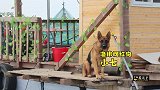 探访福建最美海上渔村，他们把家建在海上，每时每刻都在晃动