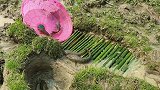 用竹子和塑料盆制作了一个捕鱼陷阱，鱼争先恐后的跑进去