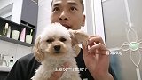 看海给宠物狗洗澡，顺便聊聊萌宠洗白白那些事，分享下自己的经验