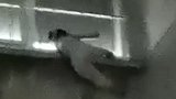 安徽滁州：险！2岁男童爬窗找妈妈，不慎头卡防盗窗身体悬空
