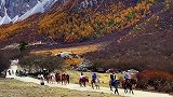 等日落西山，等秋去冬来，等尘埃落定，人生短短几万天，别留遗憾