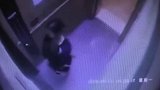 11月大男婴电梯内遭大型犬撕咬，狗主人拼命拉拽也难控制