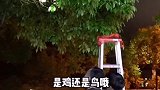 凤梨鸡知道怎么做吗？学会了就不再去比肯德基麦当劳了，记得收藏