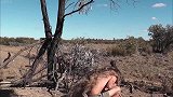 全网最老六猎人，用鸵鸟皮毛伪装自己，试图徒手活捉一只袋鼠!