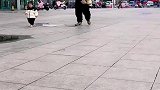 萌娃看见水坑想踩，动作熟练的不像话！