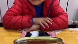向往的童趣：小猫咪睡着了