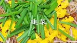 豆芽蹴粉条。