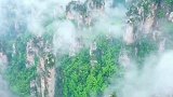这是谁书写的一副水墨画