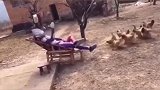 不是怎么着地震了