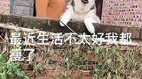 洛洛威胁奶奶要吃的，看它的小表情太可爱了，都忍住别笑