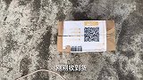 150块钱买的6个鹦鹉蛋用人工孵化，大家觉得能成功孵化出来吗