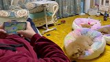一个普普通通的日常