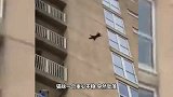 黑猫从7楼掉落，本以为会惨死，结果却让人傻眼