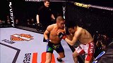 UFC-17年-格斗之夜108倒计时：桑切斯的不老雄心-专题