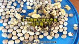 小飞碟孵化器，出壳了，体验感就是噪音小