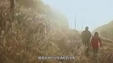 李七月再现回忆杀，获董卿高度评价，康辉在线挖人！