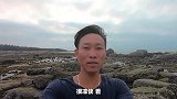 靠海吃海 这么大的海鱼都能被捡到，赶海的收获让游客羡慕