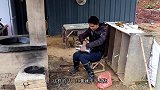 这才是我追求的乡村田园生活,烤鸡蛋烤红薯,满满的童年味道