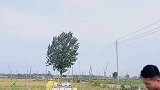 兄弟俩日常之缓解关系。第六集